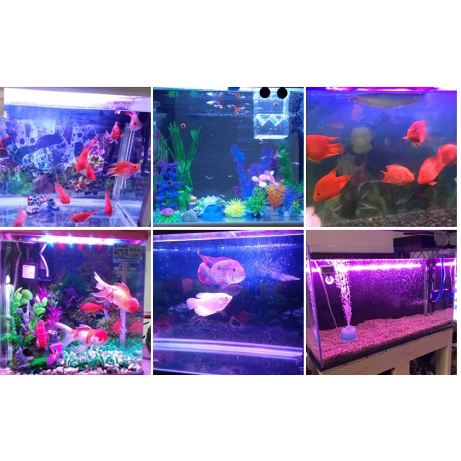 Aquarium Marine Blue - Iluminación LED para Acuarios Marinos de