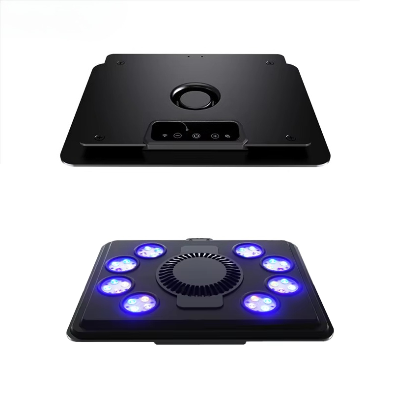 2025 gran oferta MJ-L260/L290  - Aquarium Blue Marine Reef reseña y precio