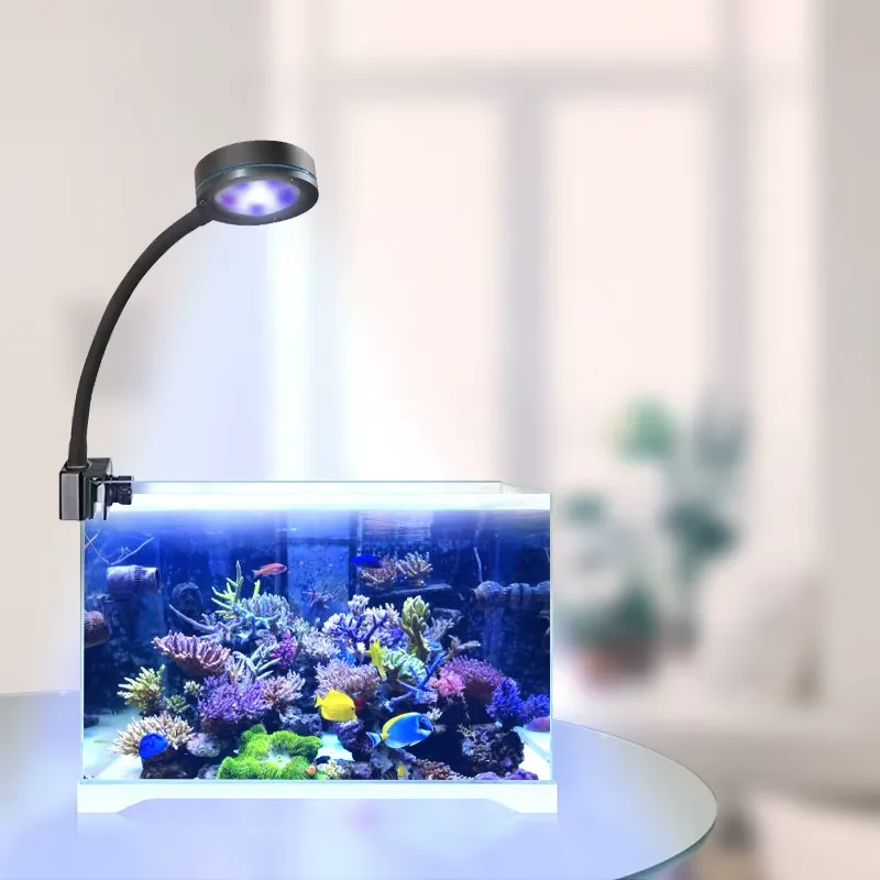 Aquasanrise Luz LED de espectr - Aquarium Blue Marine Reef reseña y precio