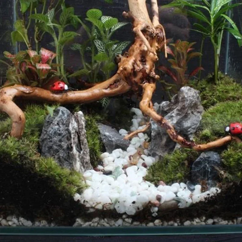 Tronco de árbol Natural de mad - Marine Aquarium Aquascape reseña y precio