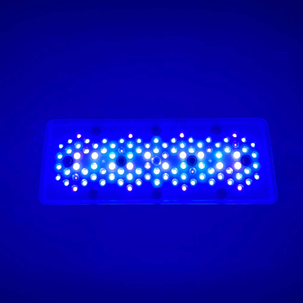 Lámpara LED Marina A8se A8PRO  - Aquarium Blue Marine Reef reseña y precio