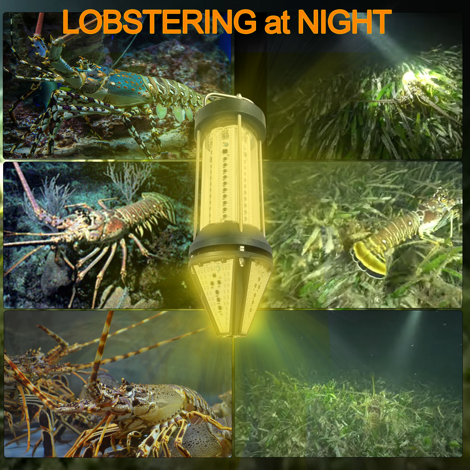 Luz de Pesca Submarina para Ex - Aquarium Marine Blue reseña y precio