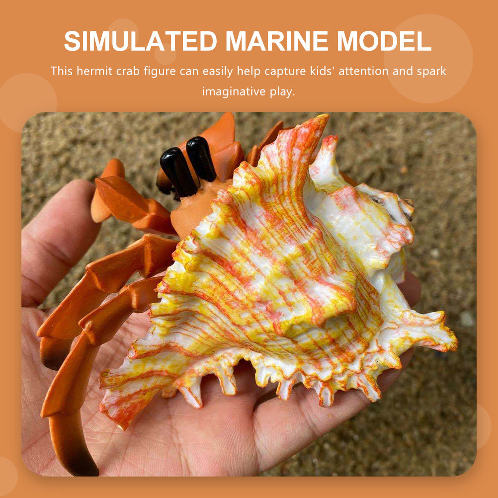 Cangrejo ermitaño de simulació - Marine Aquarium Hermit Crab reseña y precio