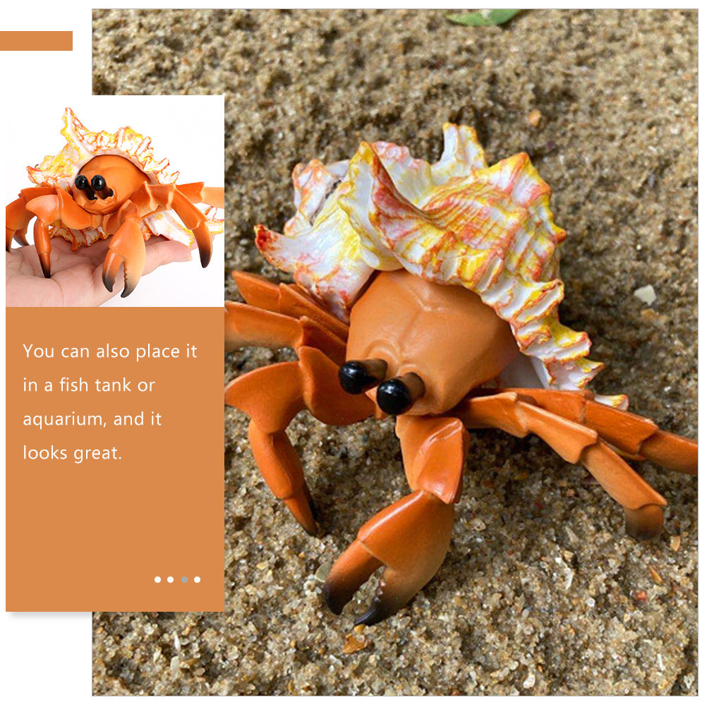 Cangrejo ermitaño de simulació - Marine Aquarium Hermit Crab reseña y precio